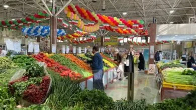ساکنین تهران