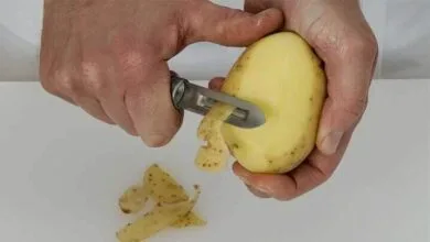 5024757.jpg