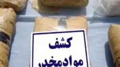 ساکنین تهران