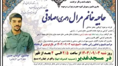 ساکنین تهران