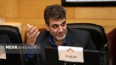 ساکنین تهران