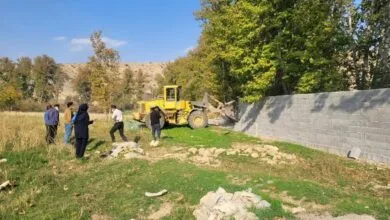 ساکنین تهران