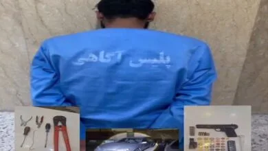 ساکنین تهران