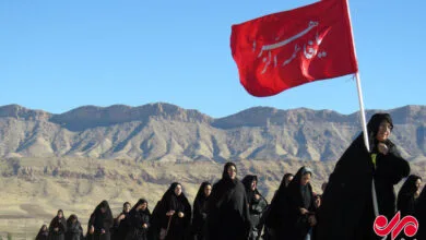 ساکنین تهران
