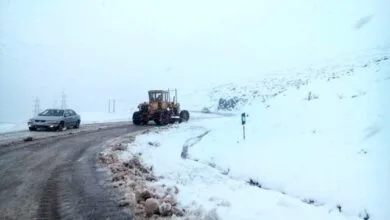ساکنین تهران