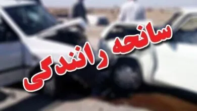 ساکنین تهران