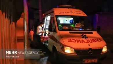 ساکنین تهران