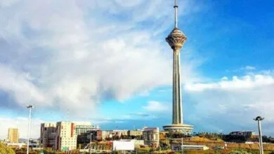 ساکنین تهران