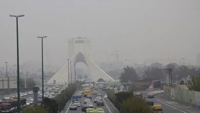 ساکنین تهران