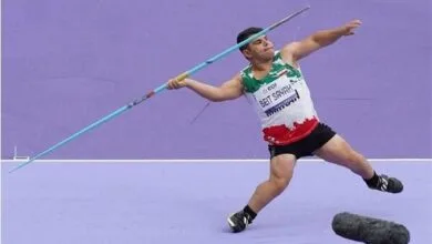 5269754.jpg