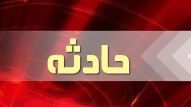 ساکنین تهران