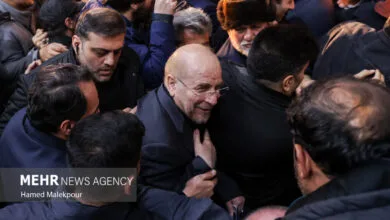 ساکنین تهران