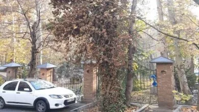 ساکنین تهران