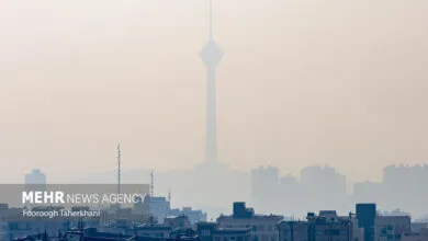 ساکنین تهران