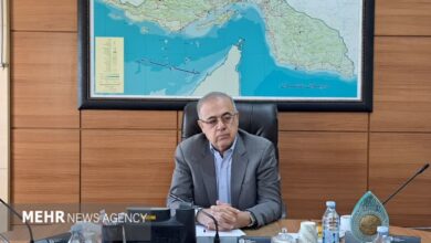 استاندار هرمزگان: توسعه قشم مستلزم تقسیم کار بین منطقه آزاد و دستگاههای اجرایی است استاندار هرمزگان: توسعه قشم مستلزم تقسیم کار بین منطقه آزاد و دستگاههای اجرایی است