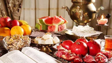 ساکنین تهران