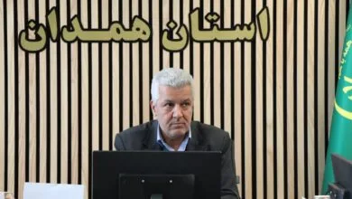 5308407.jpg