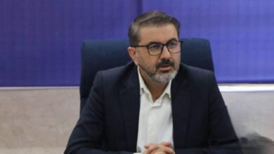 سرپرست دانشکده علوم پزشکی و خدمات بهداشتی درمانی لارستان منصوب شد