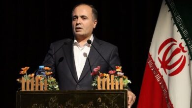 خروج سالانه ۸۰۰ میلیون دلار ارز از کشور با واردات موز| مصرف محصولات ارگانیک آرزوی