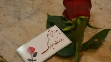 ساکنین تهران