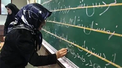 3467214.jpg