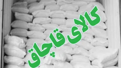 ساکنین تهران