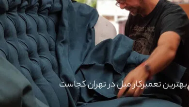 ساکنین تهران