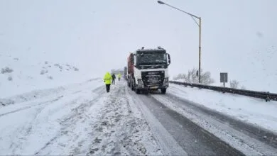ساکنین تهران