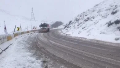 ساکنین تهران