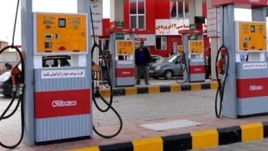 ساکنین تهران