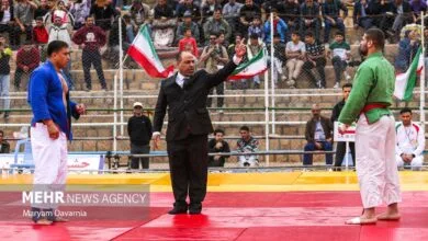 ساکنین تهران