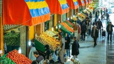 ساکنین تهران