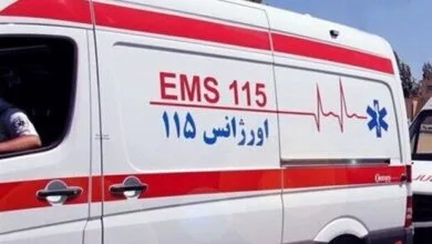 ساکنین تهران