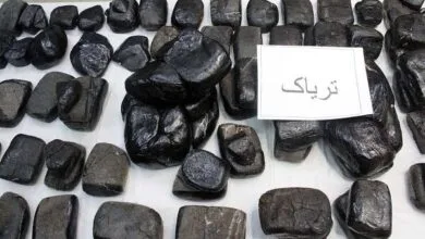 ساکنین تهران