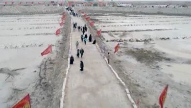 ساکنین تهران