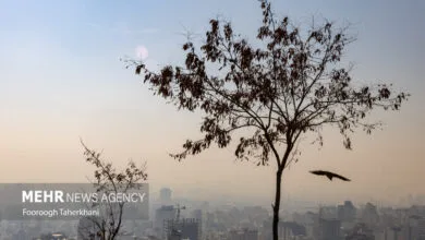 ساکنین تهران