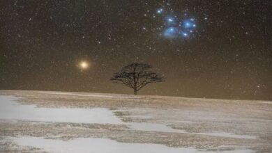 پارک بین‌المللی آسمان تاریک در محدوده‌ای به وسعت ۲۴۰۰ هکتار در بهاباد احداث می‌شود