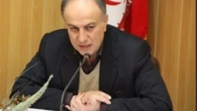 5301162.jpg