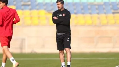 5303689.jpg