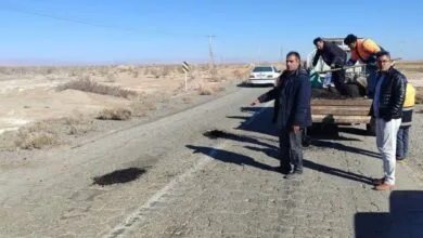 ساکنین تهران
