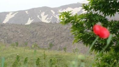 «خاوه» در مسیر توسعه/ وقتی مردم پای‌کار می‌آیند