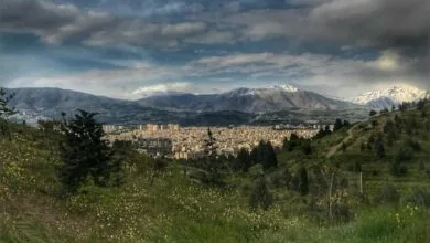 ساکنین تهران
