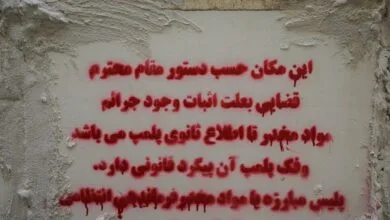 ساکنین تهران