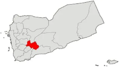 5328167.jpg