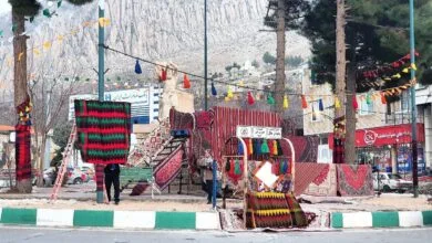ساکنین تهران