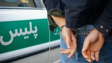 ساکنین تهران