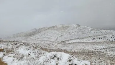 ساکنین تهران