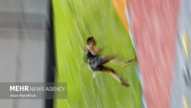 5354965.jpg