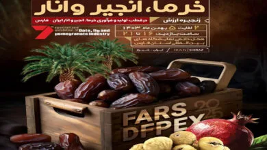 ساکنین تهران