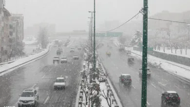 ساکنین تهران